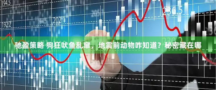 驰盈策略 狗狂吠鱼乱窜，地震前动物咋知道？秘密藏在哪