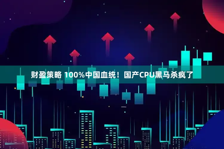财盈策略 100%中国血统！国产CPU黑马杀疯了