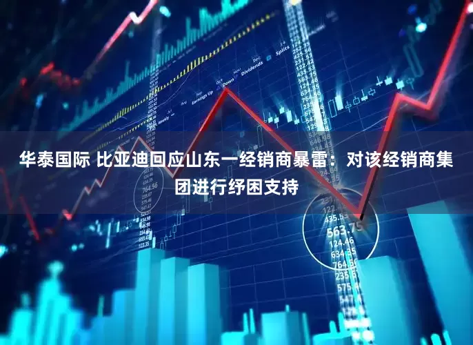 华泰国际 比亚迪回应山东一经销商暴雷：对该经销商集团进行纾困支持